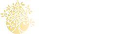 logo-dristofaro-top